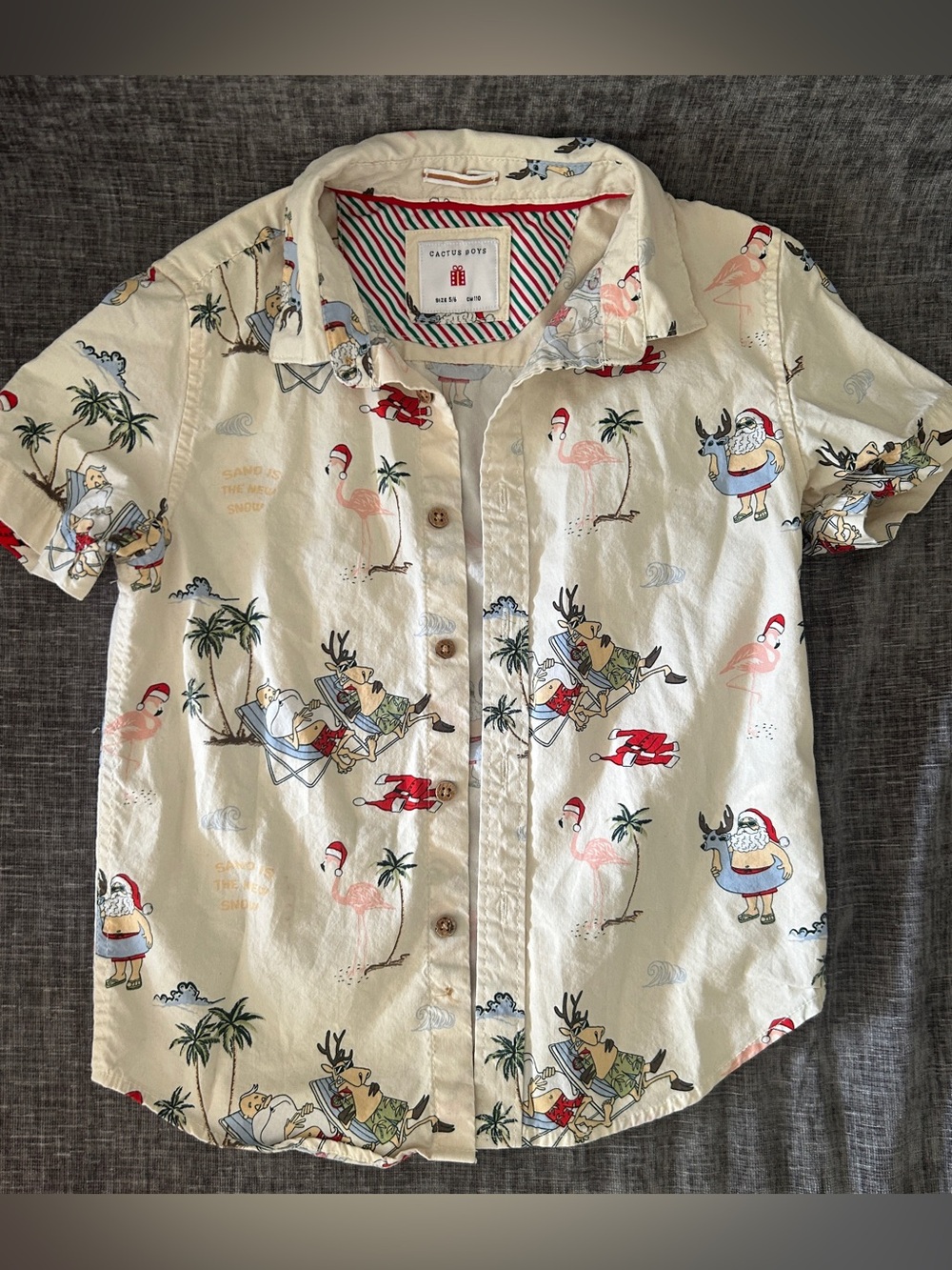 Cactus Boys size 5/6 button short sleeve